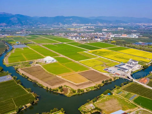 高標(biāo)準(zhǔn)農(nóng)田建設(shè)案例 | 打造高標(biāo)準(zhǔn)農(nóng)田建設(shè)古林樣板 夯實寧波現(xiàn)代農(nóng)業(yè)發(fā)展基礎(chǔ)